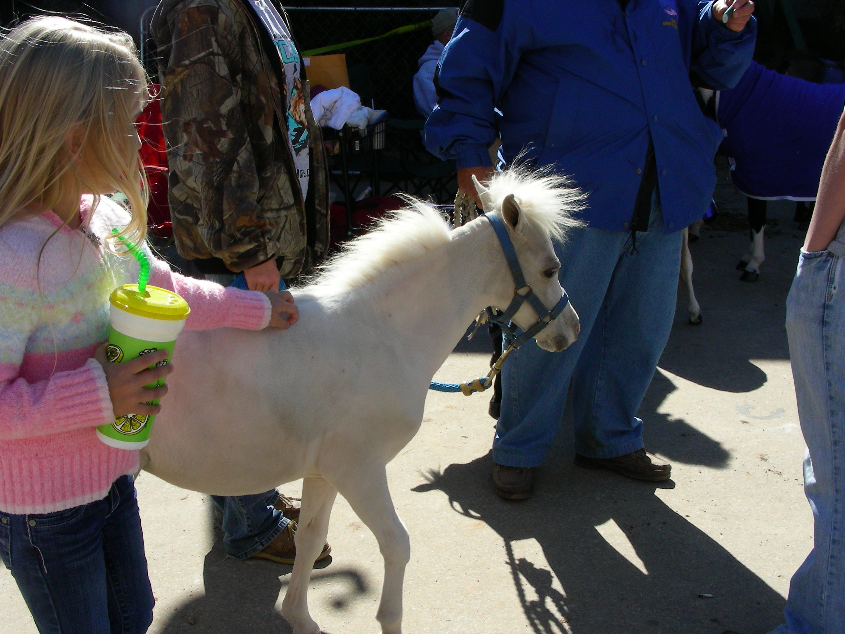 ./2008/State Fair/State Fair 1019080014.JPG